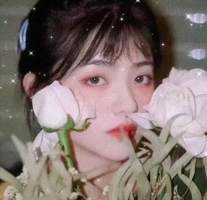 大卫与丽莎